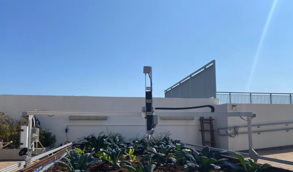 Roof farm